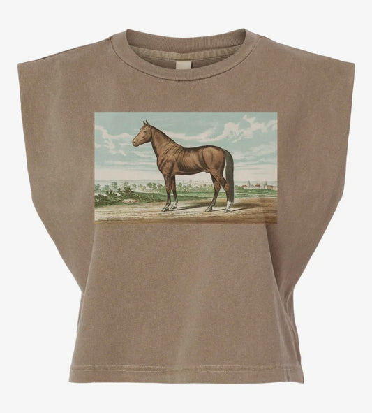 HORSE PAINTING BOXY TANK